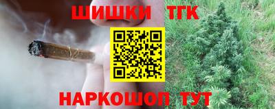 СК Новодвинск