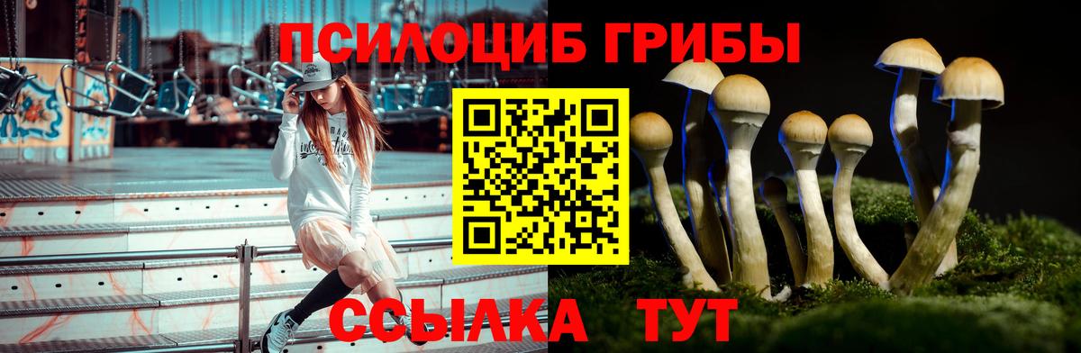 Псилоцибиновые грибы прущие грибы  Вход с VPN  Ханты-Мансийск 