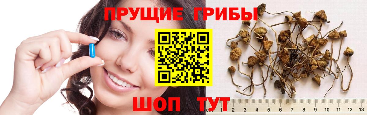 Псилоцибиновые грибы Magic Shrooms Ханты-Мансийск